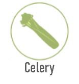 Contains celery allergy information