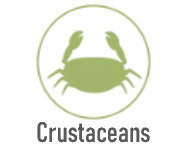 Contains crustaceans allergy information