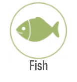 Contains fish allergy information